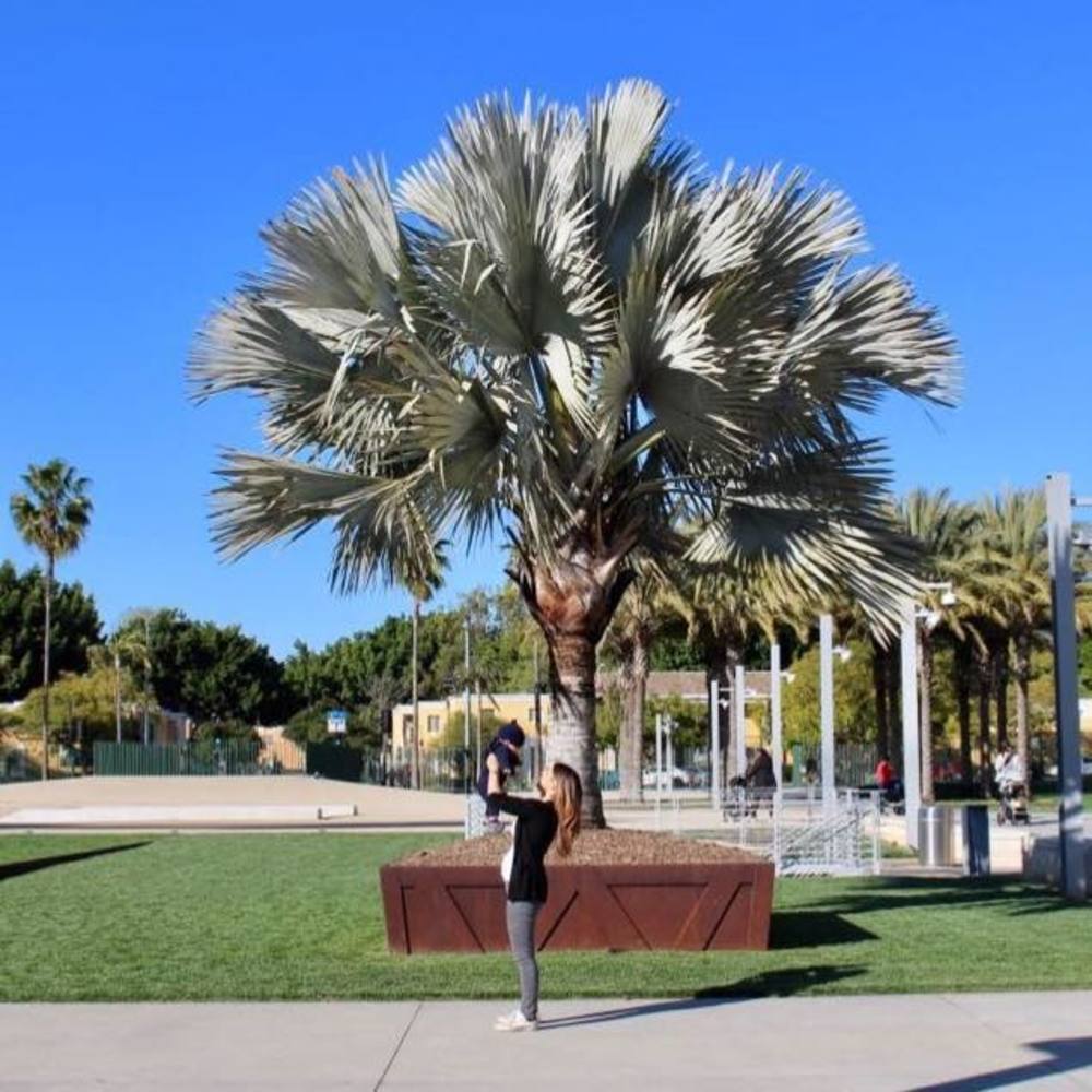 Meet your Posher, Elli